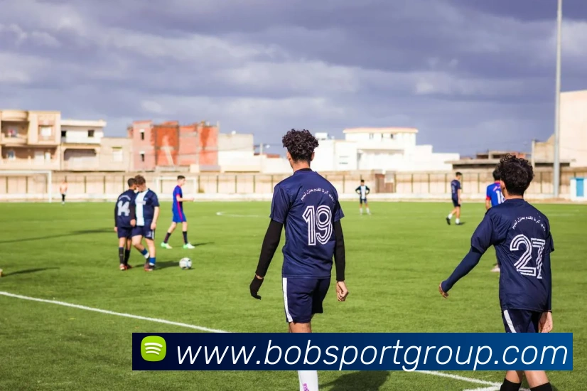 BOB足球平台生态图