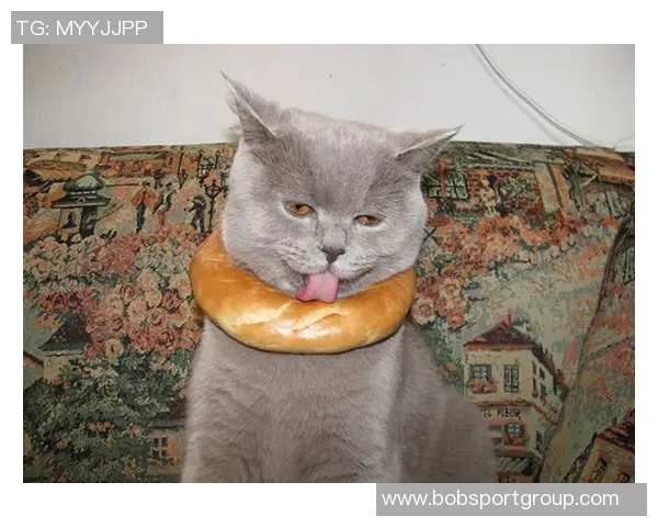 伊森妈妈调侃卡鲁索防守表现真是让人哭笑不得的精彩瞬间 伊森妈妈调侃卡鲁索防守表现真是让人哭笑不得的精彩瞬间